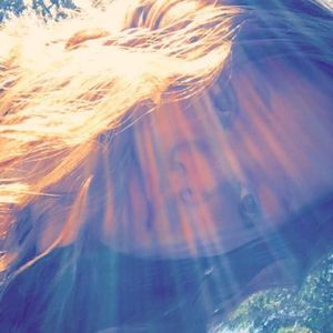 Meet your Posher, Abigail